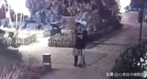 第二轮吃瓜视频完整版免费观看,完整版免费观看，揭秘幕后真相