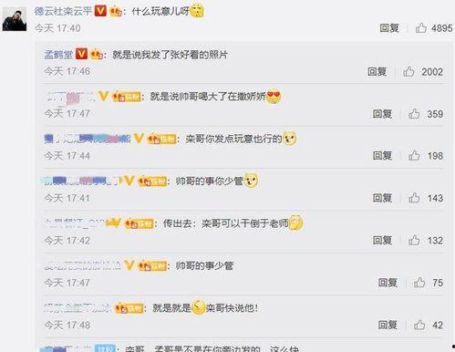 娱乐吃瓜菌评论,吃瓜菌带你领略幕后风云